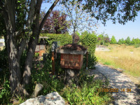 img_6199.jpg