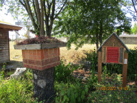 img_6200.jpg