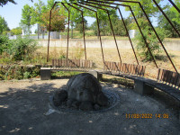 img_6203.jpg