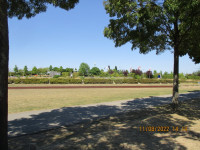 img_6210.jpg