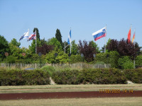 img_6211.jpg