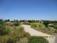 img_6212.jpg