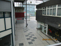 img_6100.jpg