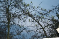 img_3238a.jpg