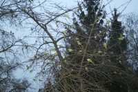 img_3239a.jpg