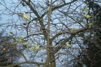 img_3243a.jpg